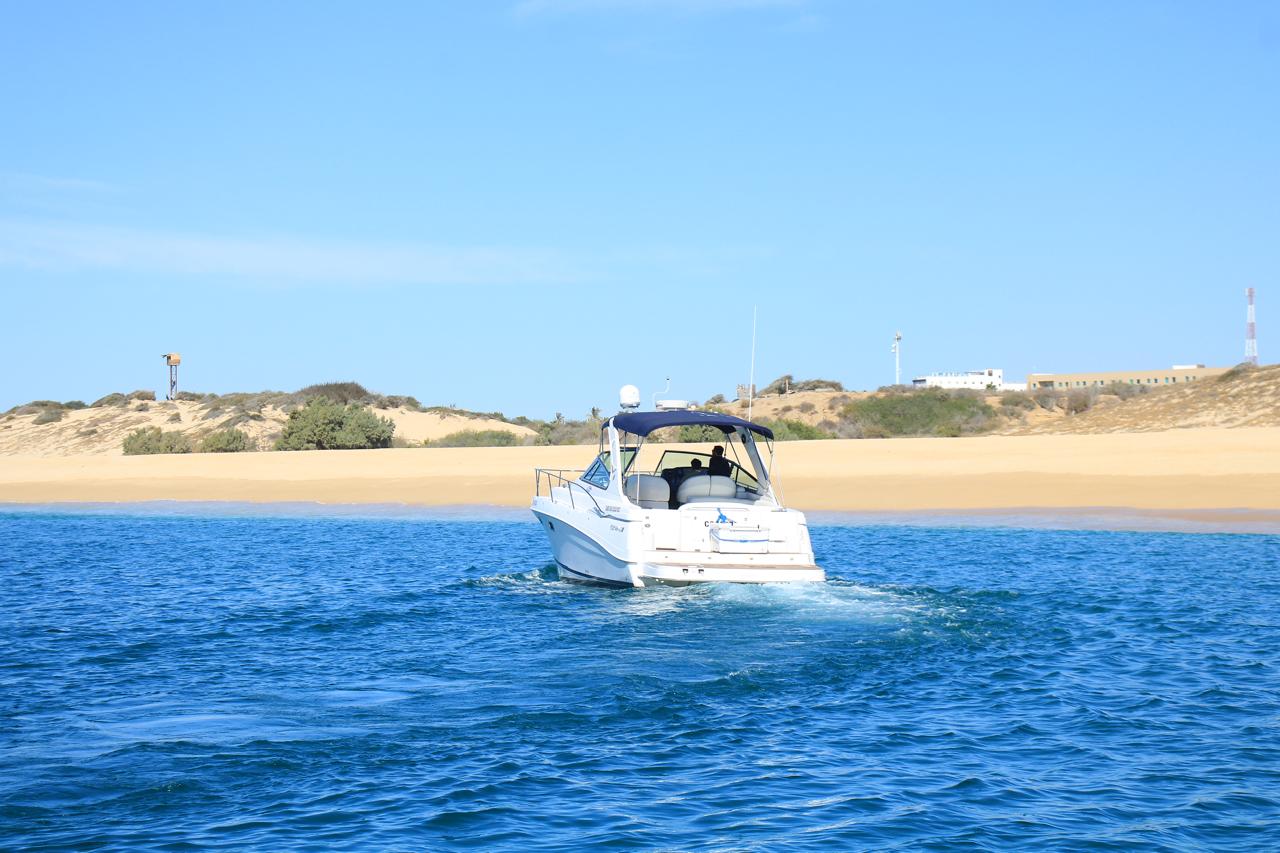 Yate Coqueto