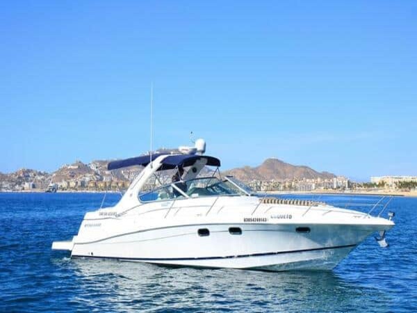 YATES Y LANCHAS EN LOS CABOS